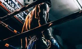 Daintree rainforest setting