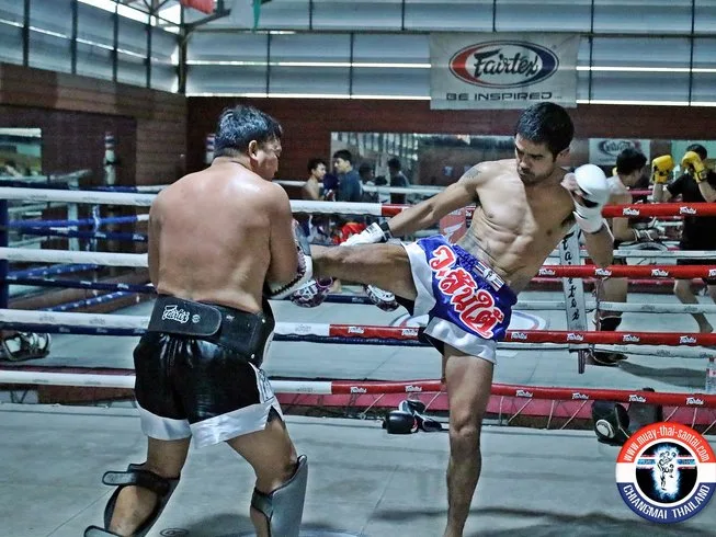 Beginner Starter Pack gallery 2